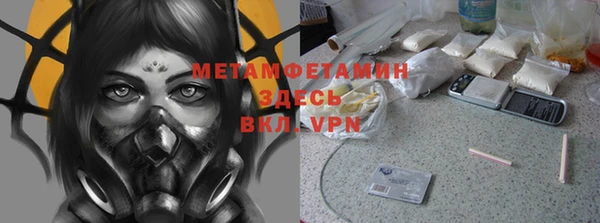 сатива Алзамай