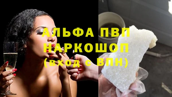 сатива Алзамай