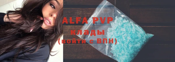 сатива Алзамай