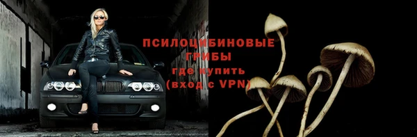 сатива Алзамай