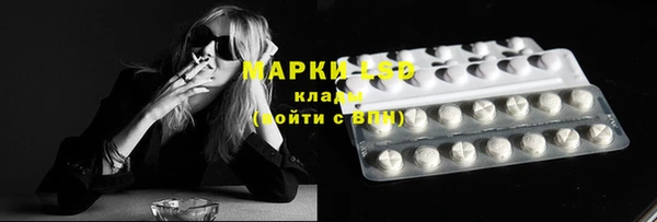 сатива Алзамай