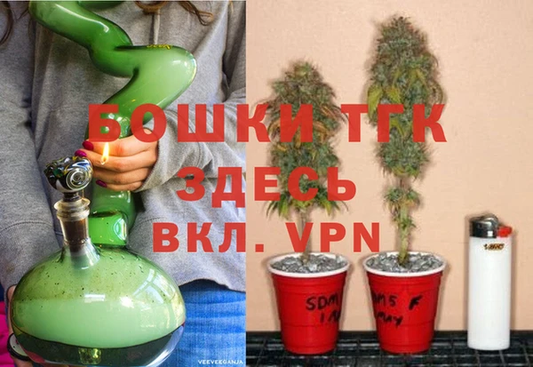 сатива Алзамай