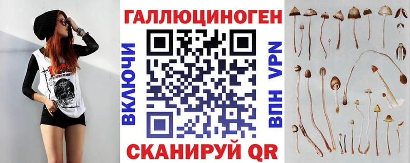 где продают   Тейково  Галлюциногенные грибы мицелий 