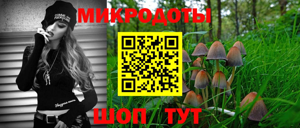 Тейково  Псилоцибиновые грибы GOLDEN TEACHER  цены наркотик  Вход с VPN  Галлюциногенные грибы Cubensis 