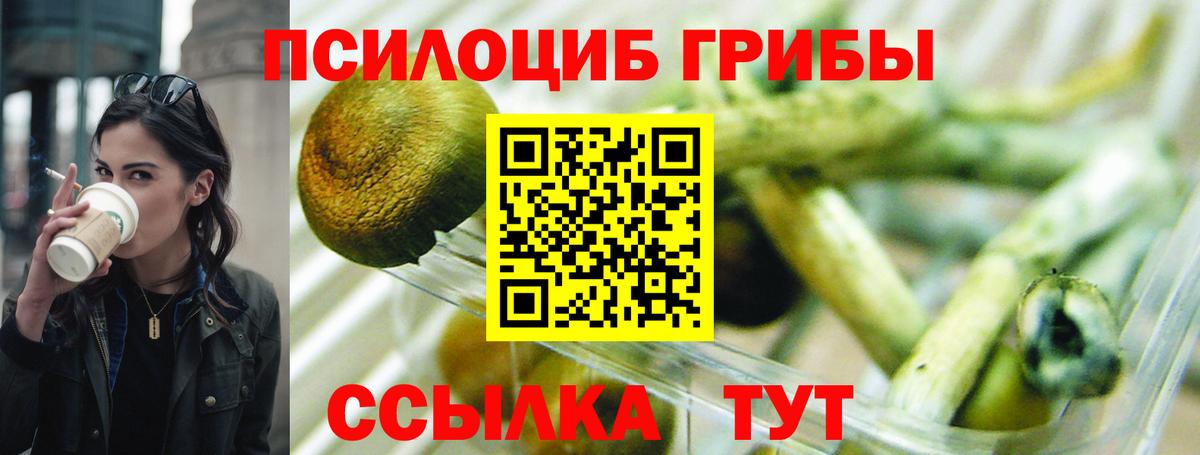 Псилоцибиновые грибы MAGIC MUSHROOMS Тейково